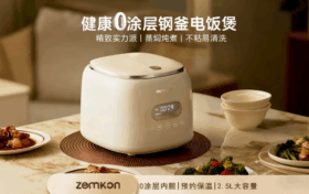 DFB-003多功能低糖电饭煲，不锈钢0涂层3-4人，迷你家用米汤分离2到3人电饭锅