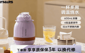 DRSH-004家用婴儿热水壶保温电热杯，便携式多功能小型电炖烧水壶旅行烧水杯缩略图