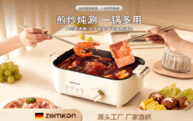 德国品牌Zemkon电火锅