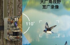 鱼塘监控方案深度研究，太阳能4G云台摄像头，解决野外防盗难题缩略图